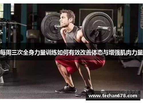 每周三次全身力量训练如何有效改善体态与增强肌肉力量
