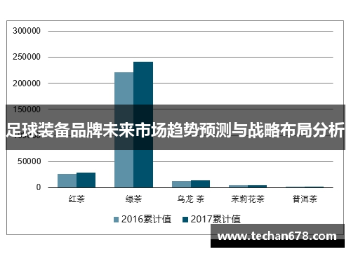 足球装备品牌未来市场趋势预测与战略布局分析