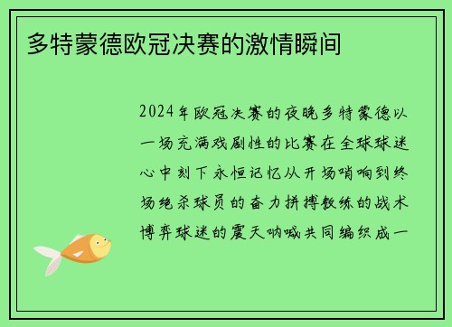 多特蒙德欧冠决赛的激情瞬间