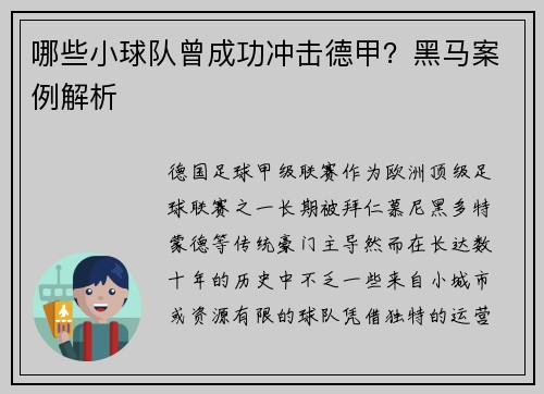 哪些小球队曾成功冲击德甲？黑马案例解析
