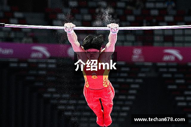 介绍mk
